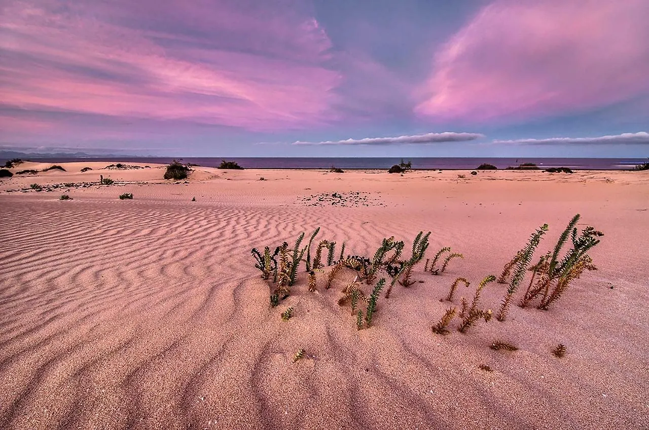 Appartamento Little Paradise Corralejo Spagna